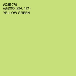 #C8E079 - Yellow Green Color Image
